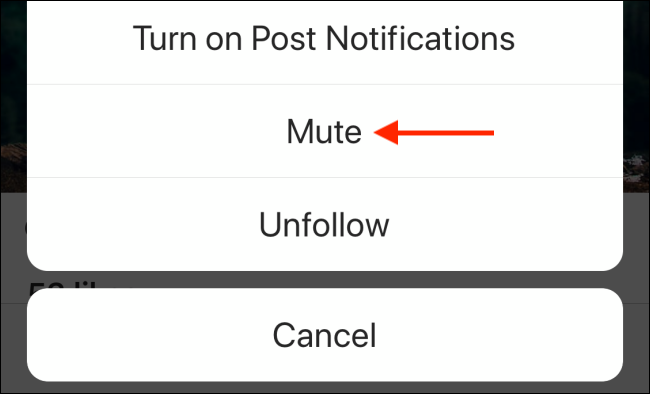 How to mute someone on instagram